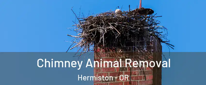 Chimney Animal Removal Hermiston - OR