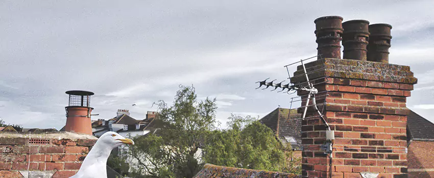 Chimney Cleaning And Restoration in Hermiston, Oregon